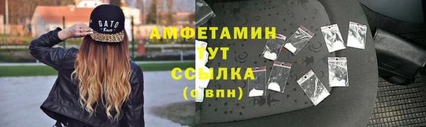 молекула духа Кулебаки