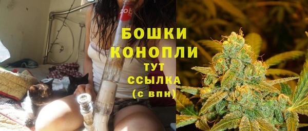 гидра Белокуриха