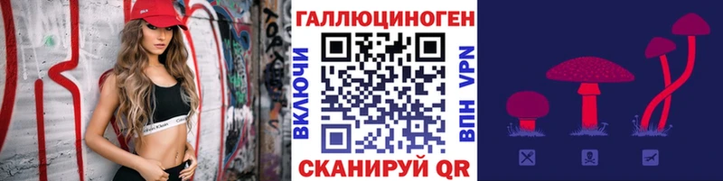 Галлюциногенные грибы MAGIC MUSHROOMS  где купить   Великий Устюг 
